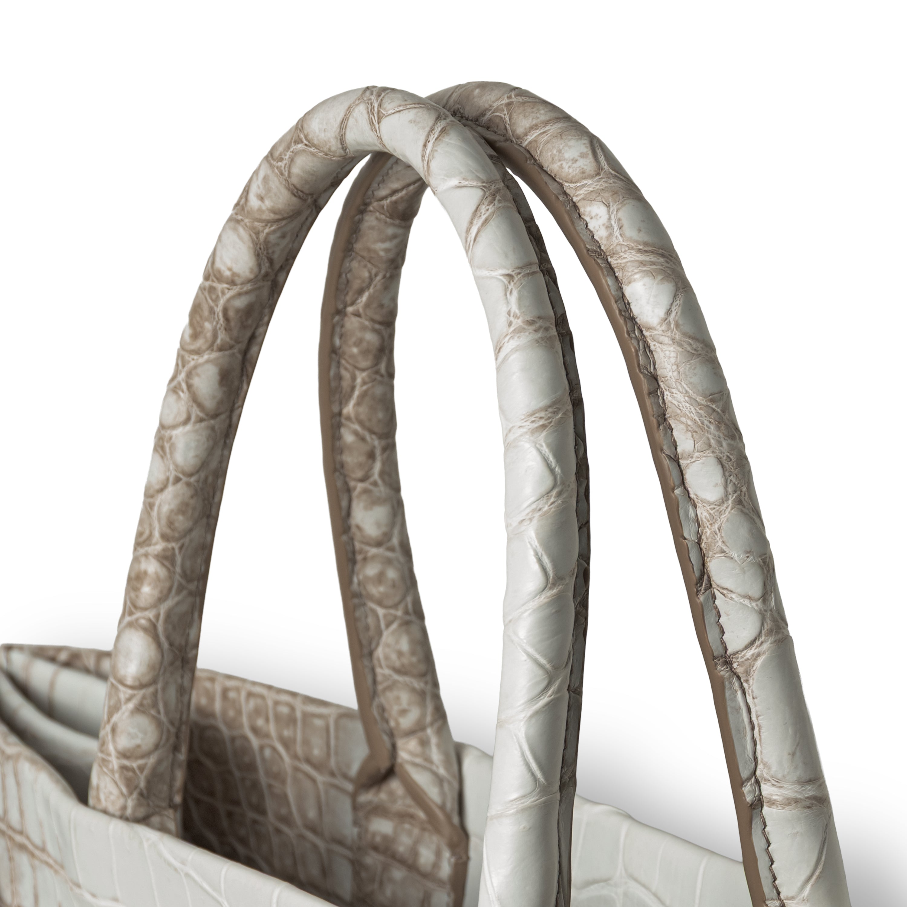 Italian crocodile leather handbag - natural gradient texture close-up